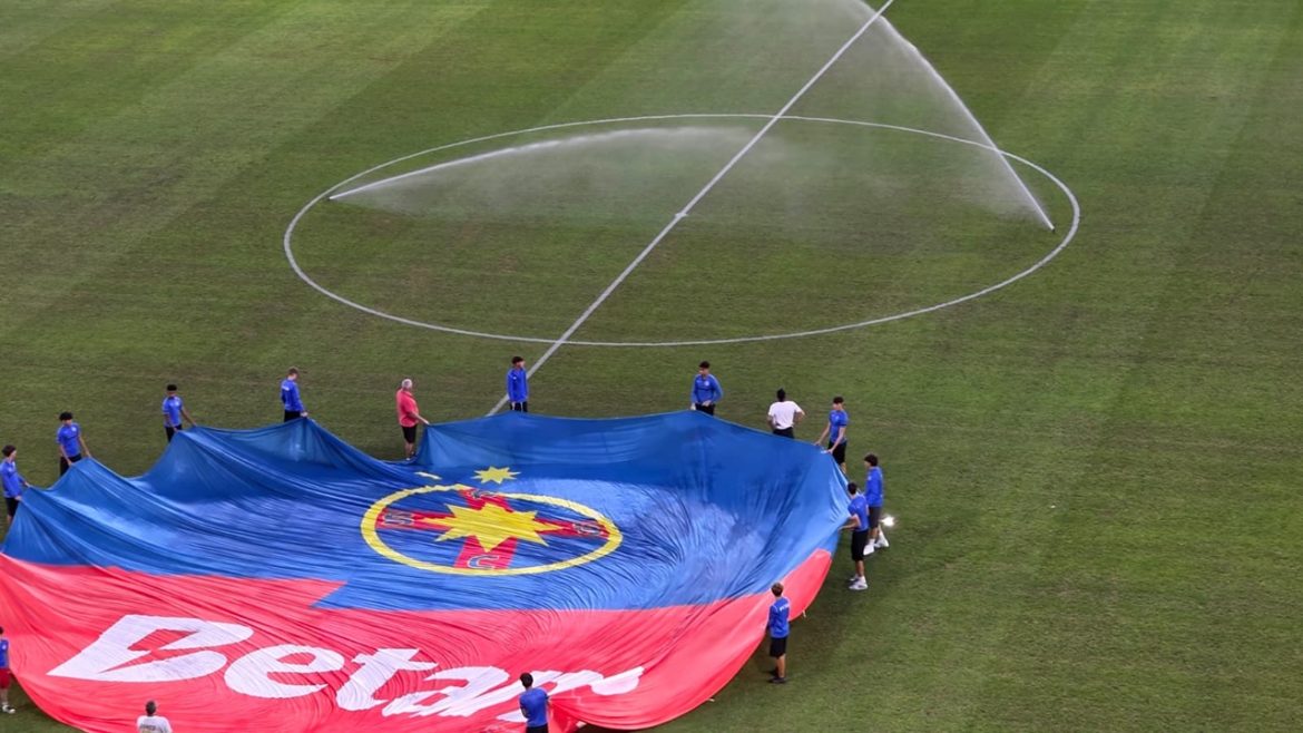 pe-ce-teren-joaca-fcsb-cu-auda!-gazonul-din-ghencea-arata-groaznic
